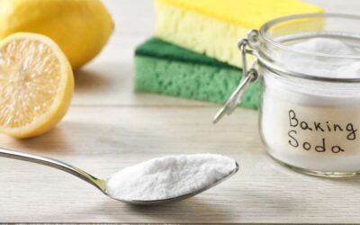 Bicarbonate de soude technique : pourquoi est-il l’allié indispensable pour l’entretien de votre maison ?