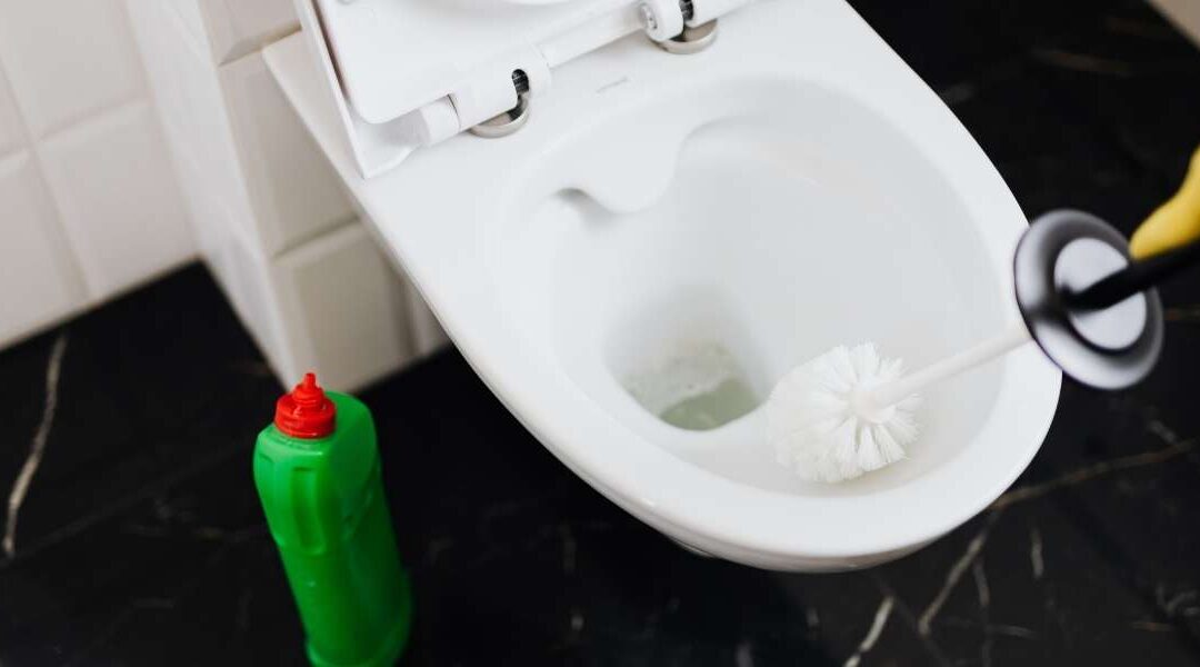 Brosse WC originale