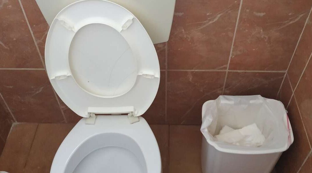 Cuvette sans bride : est-ce vraiment la solution idéale pour une hygiène irréprochable dans vos toilettes ?