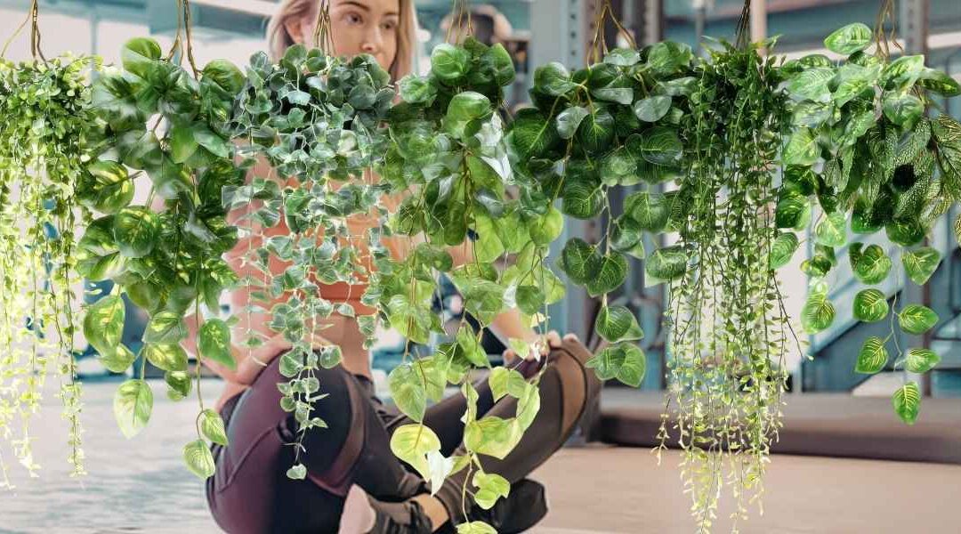 Plante artificielle tombante : comment révolutionner votre décoration intérieure sans avoir la main verte ?