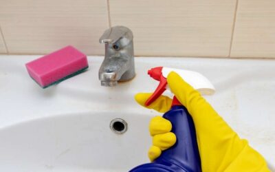 Spray désinfectant multi-surfaces : comment transformer votre routine de ménage pour une maison saine ?