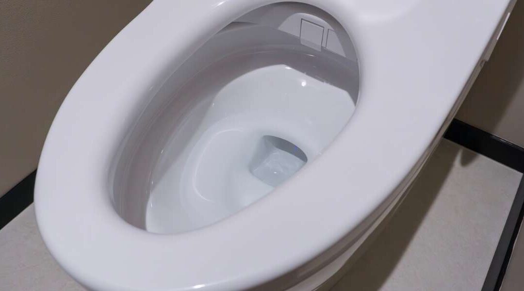 Toilettes lavantes : quels sont les véritables bénéfices pour votre hygiène et votre confort au quotidien ?