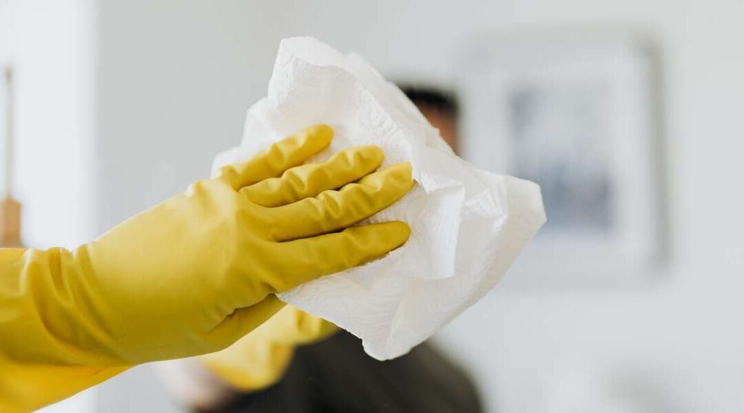 Lingettes biodégradables jetables : pourquoi sont-elles devenues l&rsquo;accessoire indispensable de votre quotidien écologique ?
