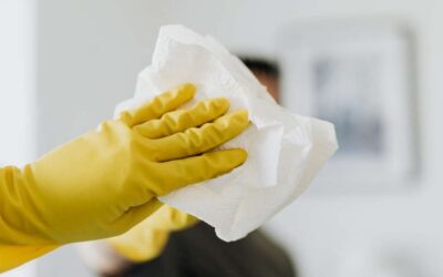 Lingettes biodégradables jetables : pourquoi sont-elles devenues l&rsquo;accessoire indispensable de votre quotidien écologique ?