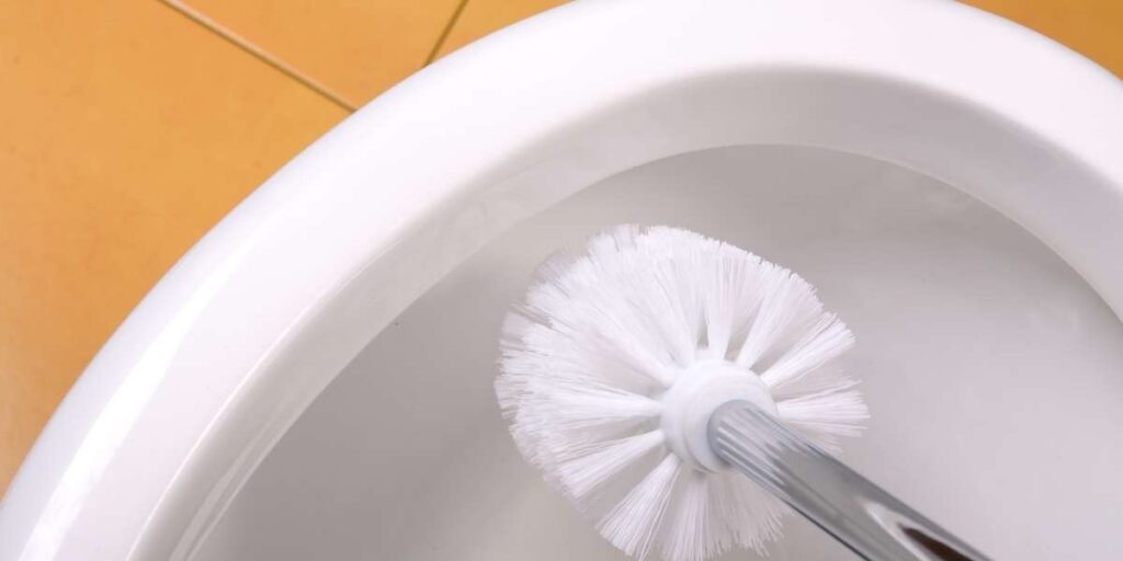 la Brosse WC originale