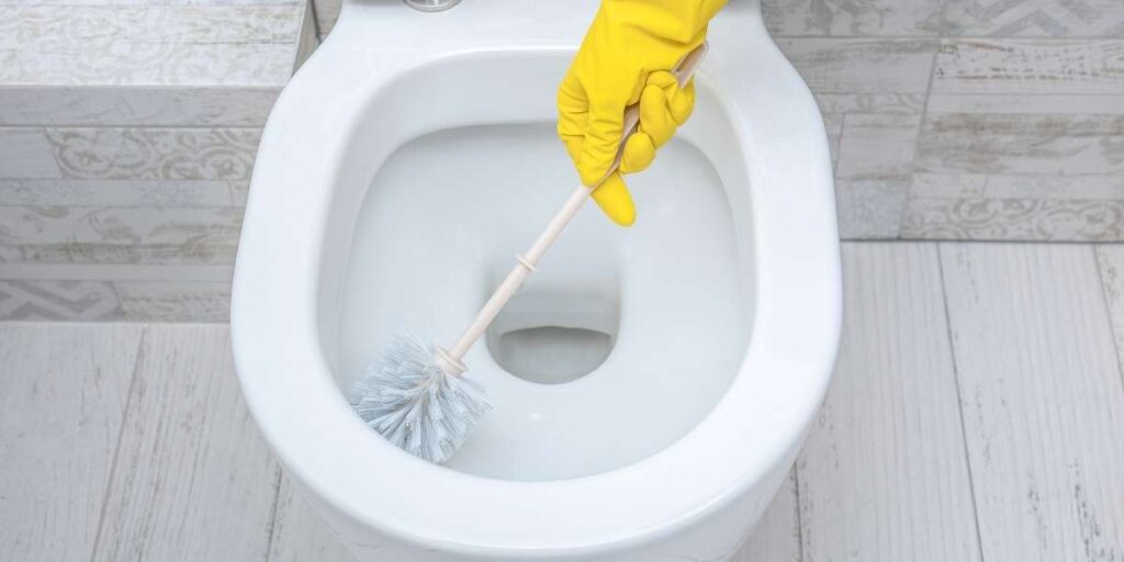 une Brosse WC originale